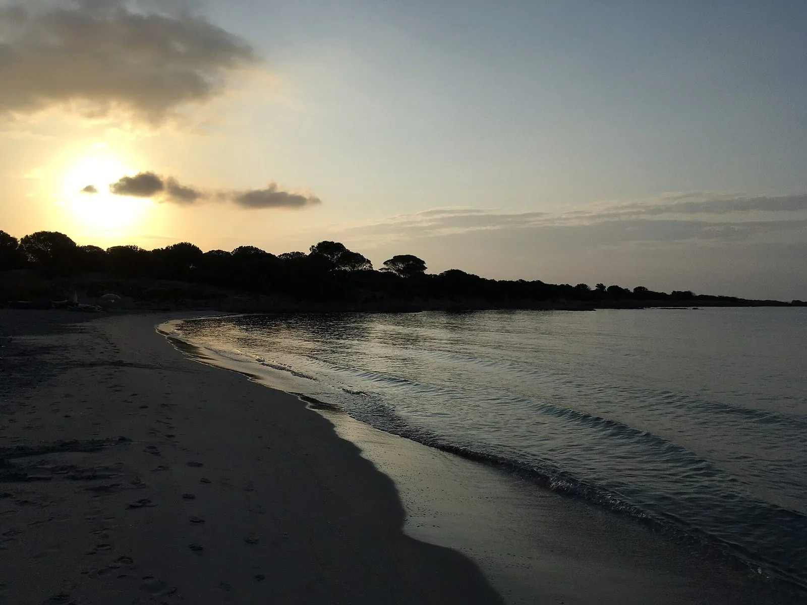 Alba sulla spiaggia di Cala Liberotto con il mare calmo e la pineta in controluce