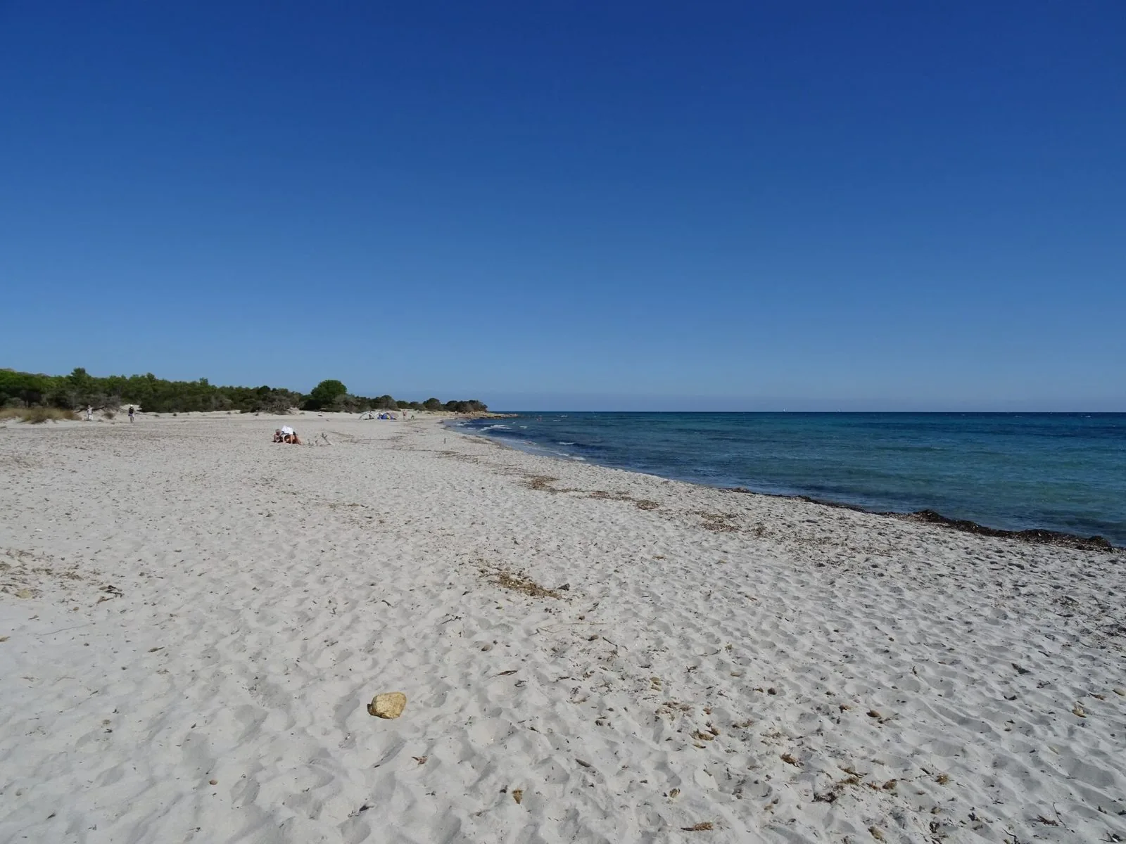 Spiaggia di sabbia bianca dell'Oasi di Biderosa con mare blu e pineta sullo sfondo